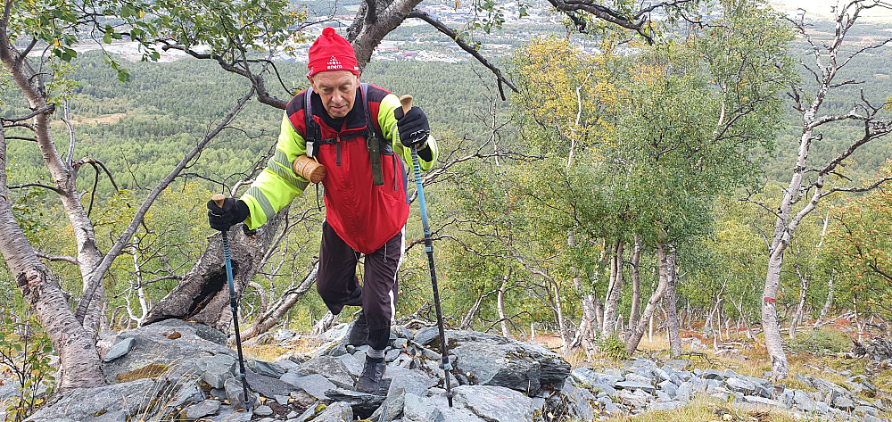 Inge Bertil på vei opp - og neste uke når han sitt mål om 500 besøk på Allmannberget :)