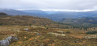 JoSo_20210911_613be2e425f47.jpg