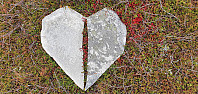 JoSo_20210927_6152373d19f59.jpg