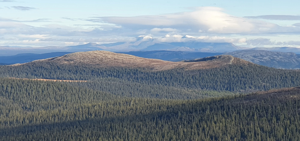 Ledsageren-toppene med Sølenmassivet i bakgrunnen.