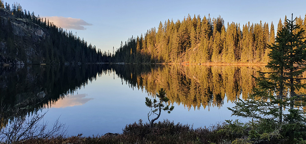 Svarttjønna