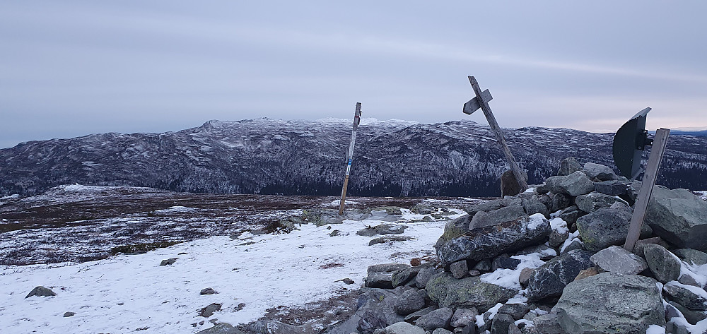 På Skjervungfjellet. Spåtind i bakgrunnen.