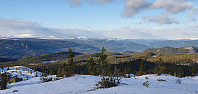 JoSo_20211113_61900752df401.jpg