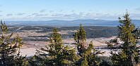 JoSo_20211128_61a35d27c9dfe.jpg