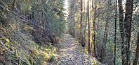 JoSo_20211128_61a35d2df39af.jpg