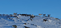 JoSo_20211206_61ae5c397690c.jpg