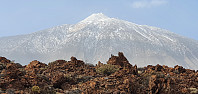 JoSo_20220213_6208dc3563688.jpg