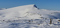 JoSo_20220219_6210e62cd017e.jpg