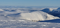 JoSo_20220219_6210e62fabaa0.jpg