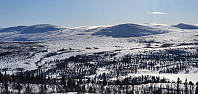 JoSo_20220306_622512a98c497.jpg