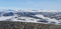 JoSo_20220317_6233adb8554d5.jpg