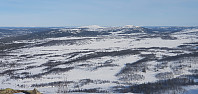 JoSo_20220317_6233adba8b13f.jpg