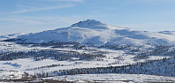 JoSo_20220317_6233adbc9060f.jpg