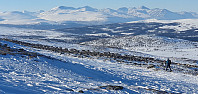 JoSo_20220318_62344133817a8.jpg