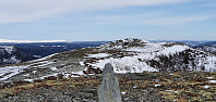 JoSo_20220324_623cb9b755bd6.jpg