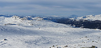 JoSo_20220324_623cb9be1d983.jpg