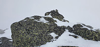 JoSo_20220324_623cc4027f4e0.jpg