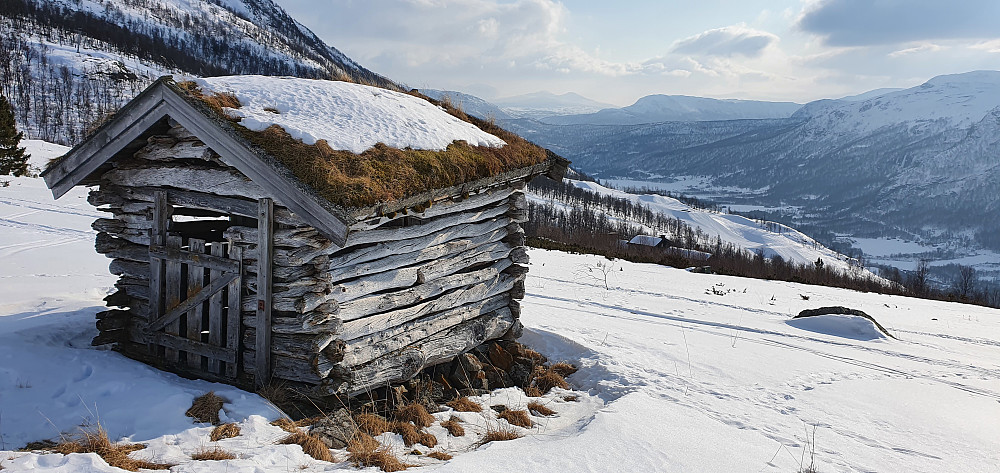Ved Fjellstølane