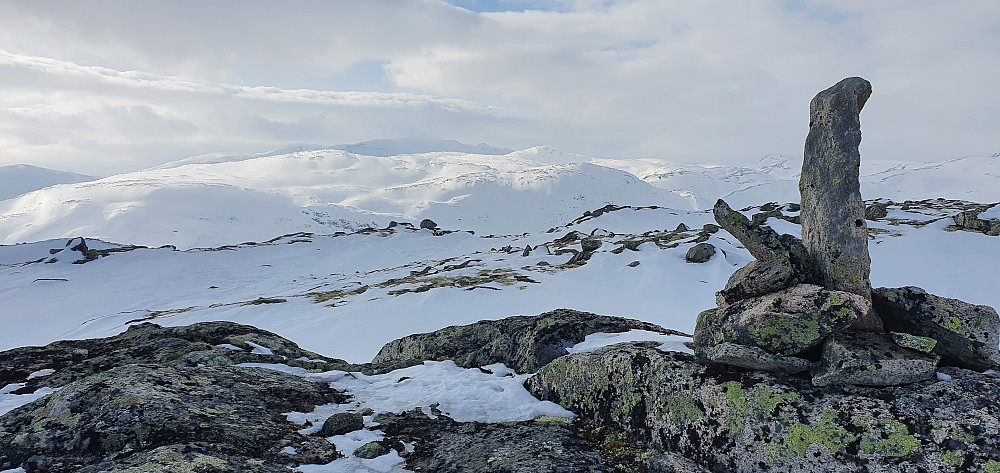 Skjeltrene