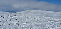 JoSo_20220414_62587c65c1da3.jpg