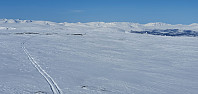 JoSo_20220414_6258808b0f67b.jpg