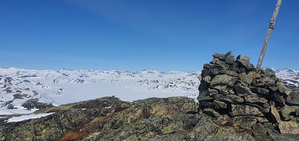 Stølsnøse