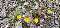 JoSo_20220621_62b23a022d3ea.jpg