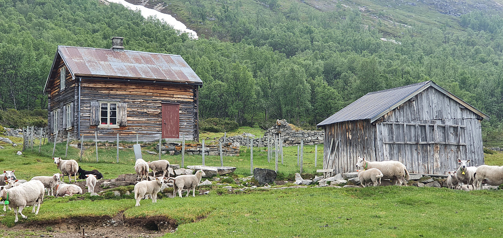Hellaugsætra