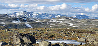 JoSo_20220702_62c05026d9baf.jpg