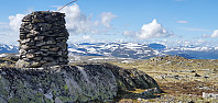 JoSo_20220713_62cf070f2e2d2.jpg