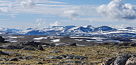 JoSo_20220713_62cf07108358b.jpg