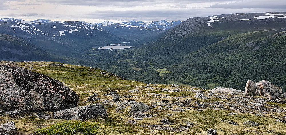 Grødalen