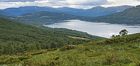 JoSo_20220817_62fd0d9b6732b.jpg