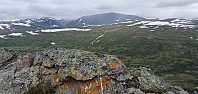 JoSo_20220817_62fd0da0b390b.jpg