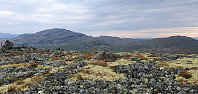 JoSo_20220817_62fd208505835.jpg