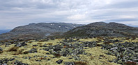 JoSo_20220817_62fd208690be2.jpg