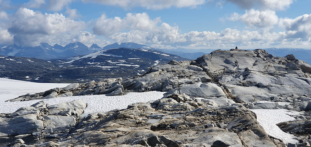 Høyeste punkt på Harbardsbreen