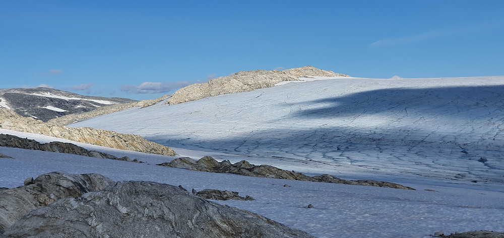 Harbardsbreen fra vest