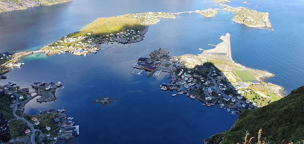 Reine