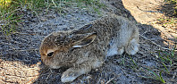 JoSo_20220913_6320ed1306ebd.jpg