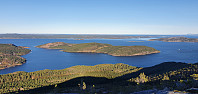 JoSo_20221024_6356d35240617.jpg
