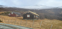 JoSo_20221106_6368151028277.jpg