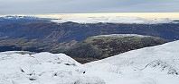 JoSo_20221106_636815159b3f2.jpg