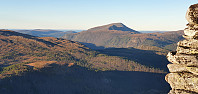 JoSo_20221118_6377fe91cec93.jpg