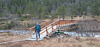 JoSo_20221127_6383c590c3c41.jpg