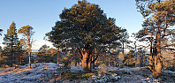 JoSo_20221204_638d0a25cefa6.jpg