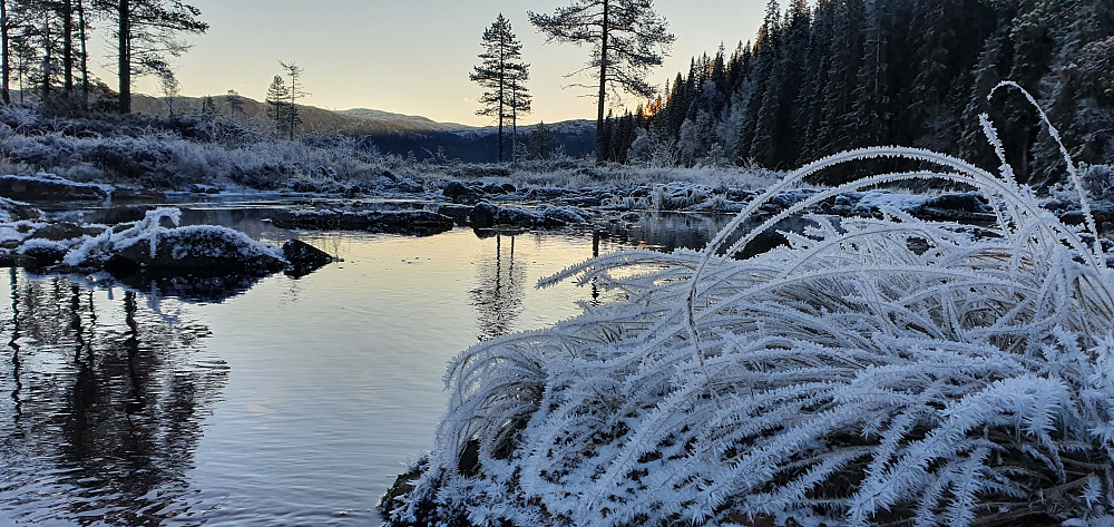 Ved Austvatnet