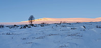 JoSo_20230102_63b21455abbfb.jpg