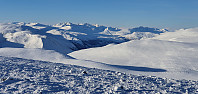 JoSo_20230202_63dc2ccbce6f0.jpg