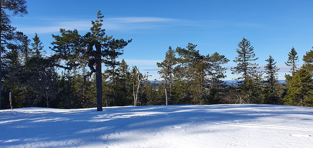 Kirkemofjellet